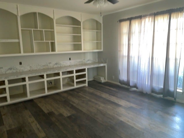 interior space with ceiling fan, a wealth of natural light, and dark hardwood / wood-style floors