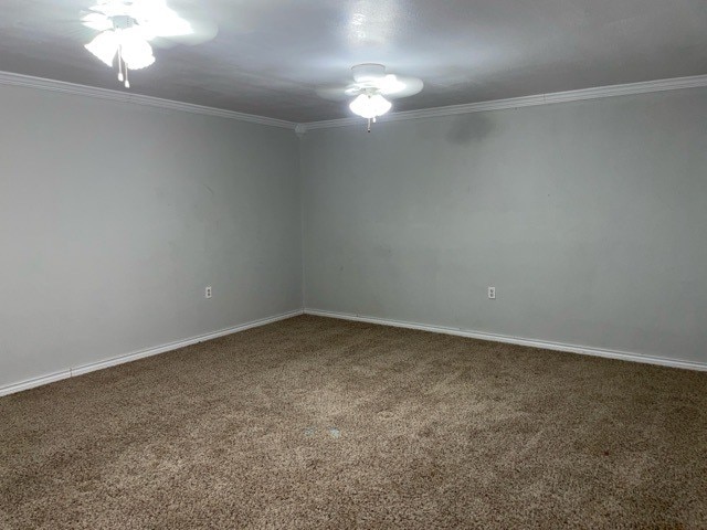 carpeted spare room with ornamental molding and ceiling fan