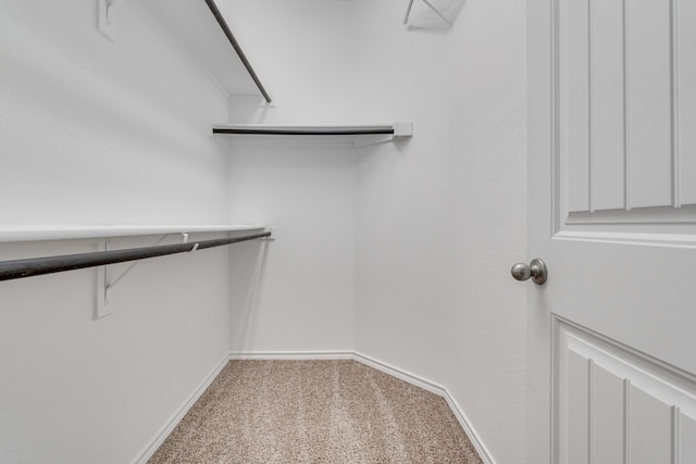 walk in closet with light carpet