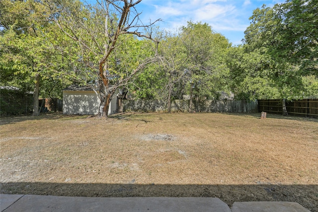 view of yard featuring a storage unit