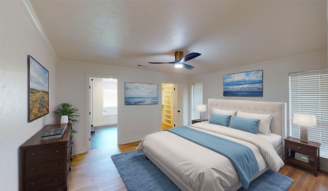 bedroom with light hardwood / wood-style floors, ornamental molding, a spacious closet, and ceiling fan