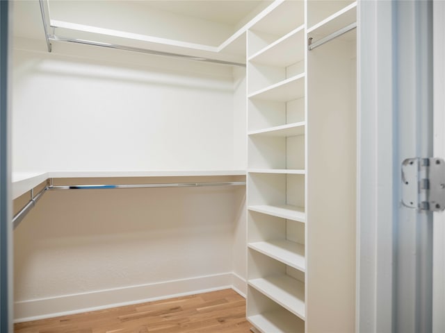 spacious closet featuring light wood-type flooring