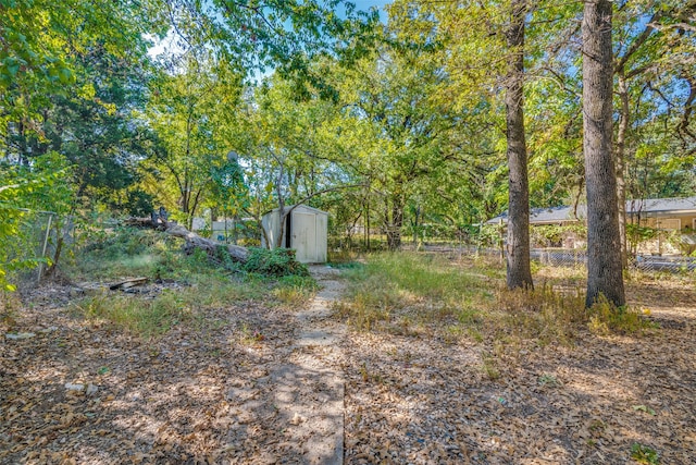 view of yard featuring a shed