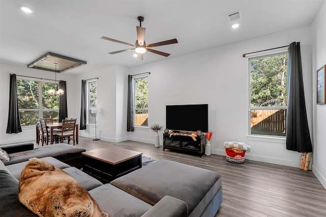 living room with hardwood / wood-style floors, ceiling fan with notable chandelier, and a healthy amount of sunlight