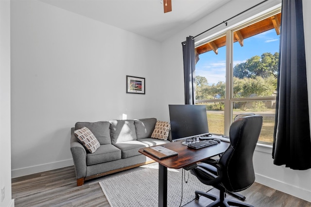 office space with hardwood / wood-style flooring