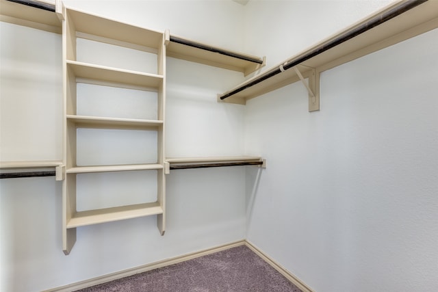 spacious closet with carpet