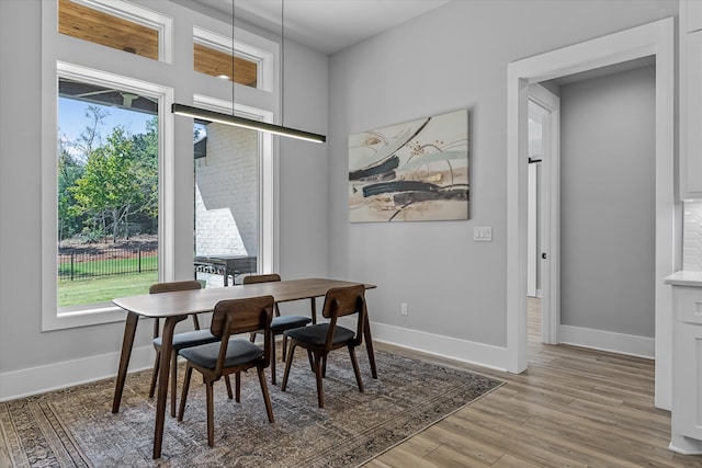 dining room with light hardwood / wood-style floors and a healthy amount of sunlight