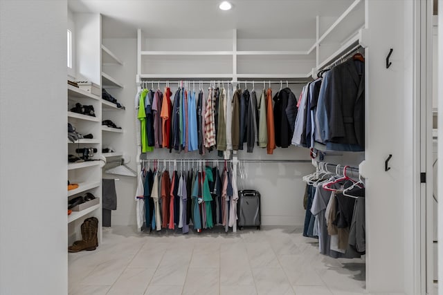 view of spacious closet