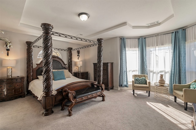 carpeted bedroom featuring a tray ceiling