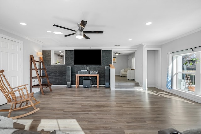 living room with crown molding, hardwood / wood-style floors, and ceiling fan