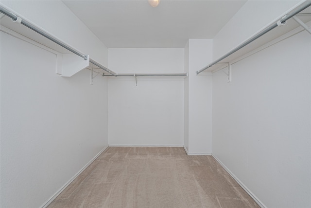 spacious closet featuring light carpet