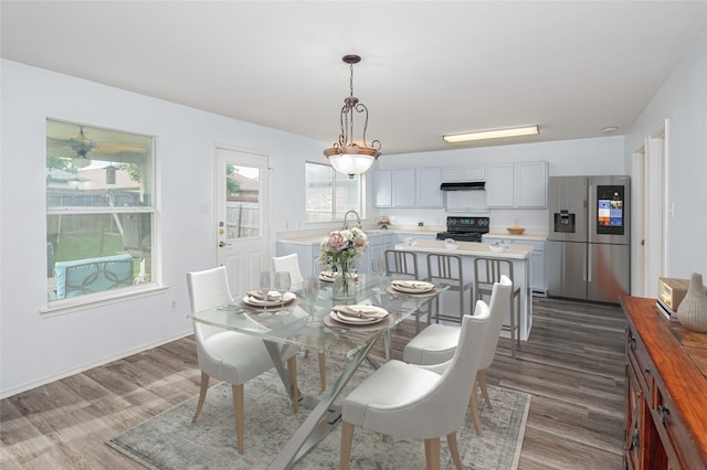 dining area with sink and dark wood-type flooring