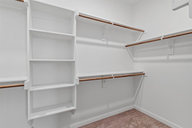 spacious closet featuring carpet floors