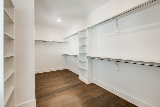 spacious closet with dark wood-type flooring