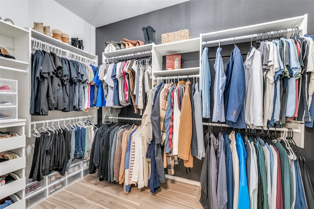 spacious closet with wood-type flooring