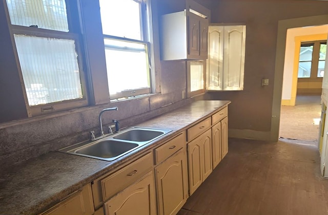 kitchen with a healthy amount of sunlight and sink