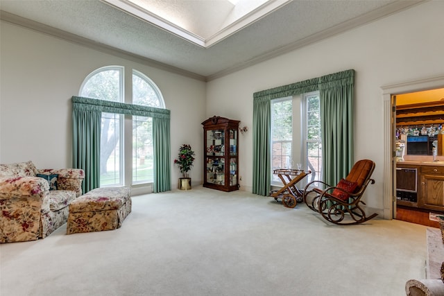 living area with a textured ceiling, a healthy amount of sunlight, and carpet flooring