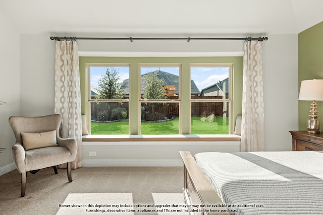 bedroom with light carpet and a mountain view