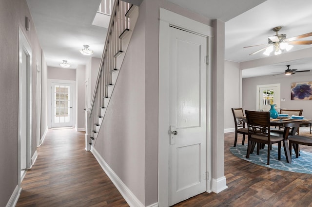 hallway with dark hardwood / wood-style floors and a healthy amount of sunlight