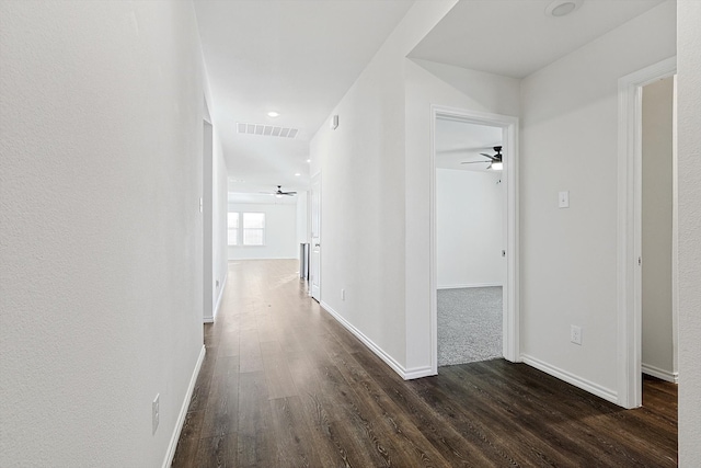 hall featuring dark hardwood / wood-style flooring