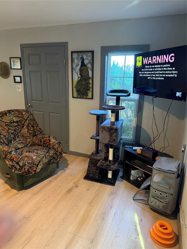 interior space with wood-type flooring