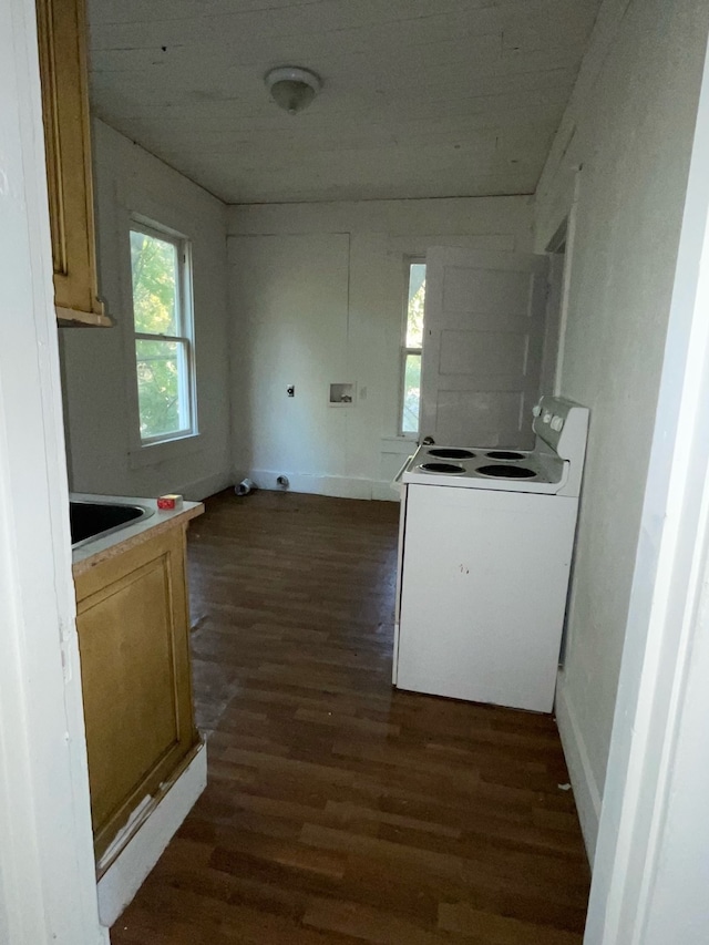 kitchen with white range with electric stovetop and dark hardwood / wood-style floors