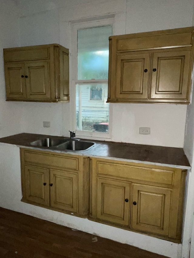 kitchen featuring dark wood-type flooring and sink