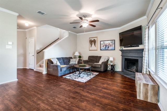 living room with crown molding, dark wood-type flooring, and ceiling fan