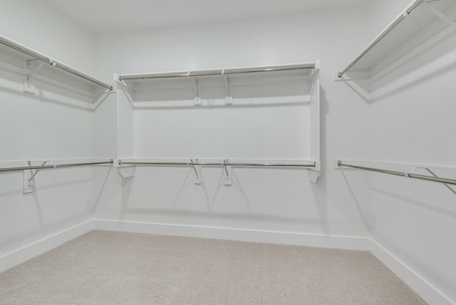 spacious closet with carpet