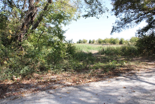 TBD County Road 4515, Trenton TX, 75490 land for sale