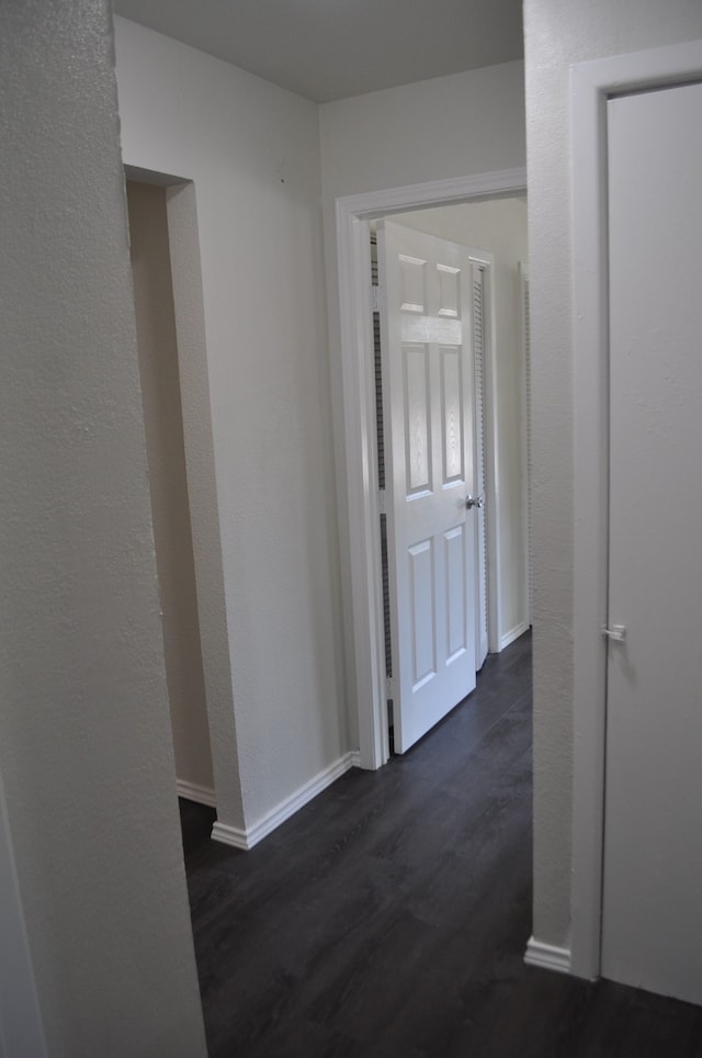 hallway featuring dark wood-type flooring