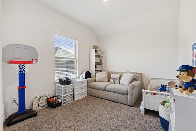 interior space with carpet and lofted ceiling