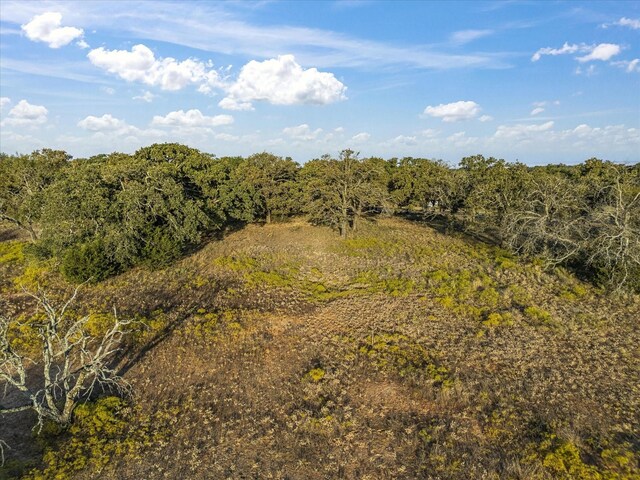 view of local wilderness