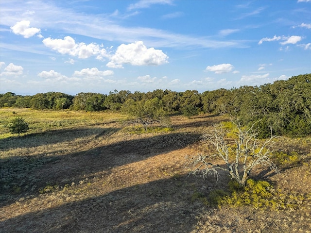 view of nature