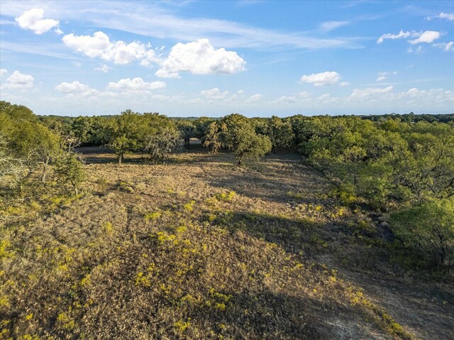 view of nature featuring a rural view