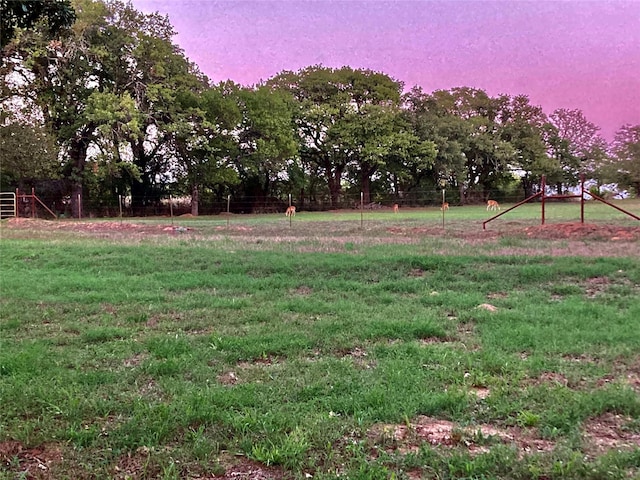 view of yard at dusk