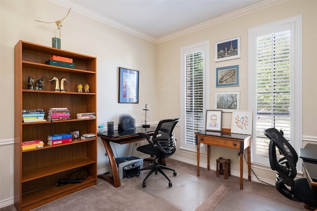 carpeted home office with ornamental molding