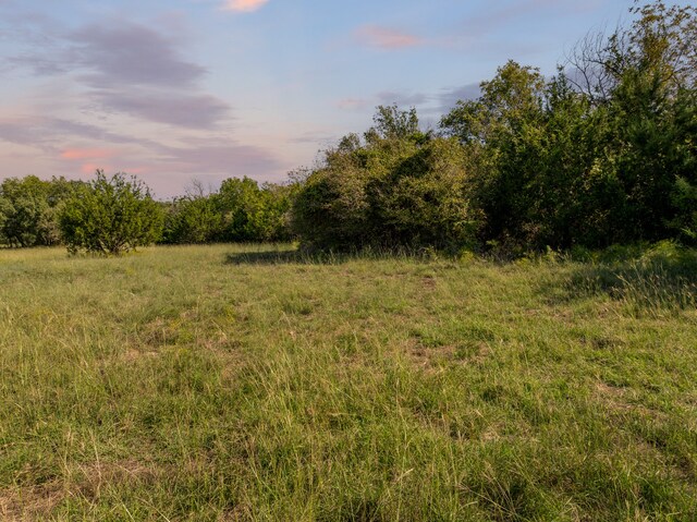 Listing photo 3 for TBD Fm 1238, Meridian TX 76649