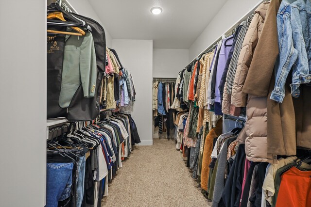 walk in closet featuring light colored carpet