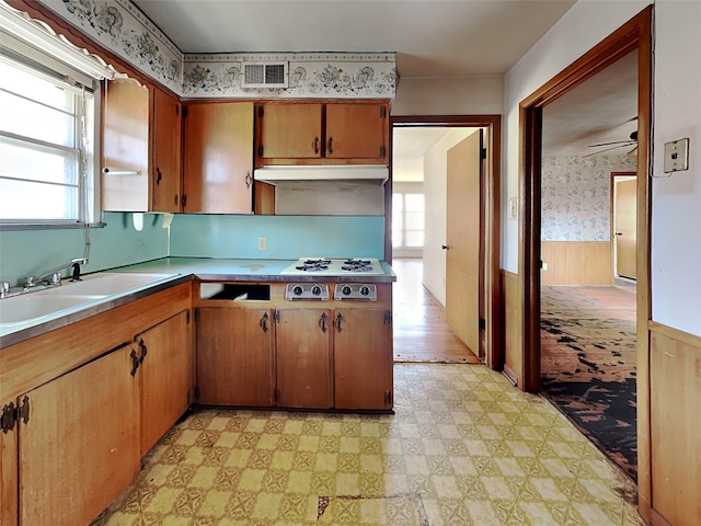 kitchen with ceiling fan, wood walls, sink, and plenty of natural light