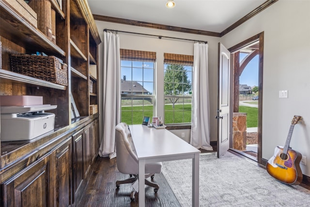 office space featuring ornamental molding, dark hardwood / wood-style flooring, and plenty of natural light