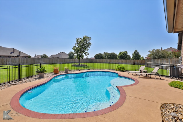 view of swimming pool with a patio area and a lawn