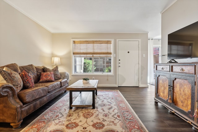 living room with ornamental molding and dark wood-type flooring