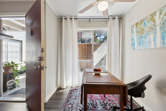 home office with ceiling fan and dark hardwood / wood-style floors