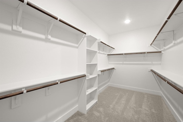 walk in closet featuring light colored carpet