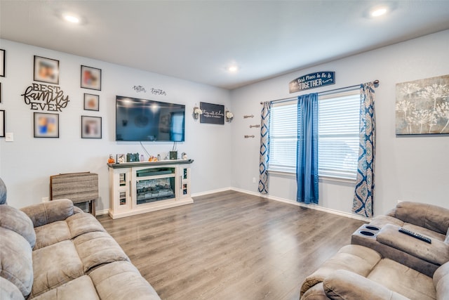 living room with hardwood / wood-style floors