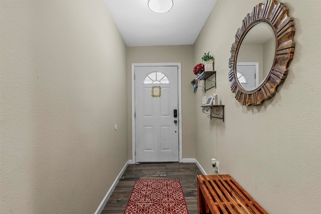 entryway with dark hardwood / wood-style flooring