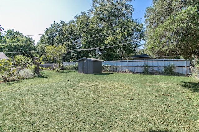 view of yard with a storage unit