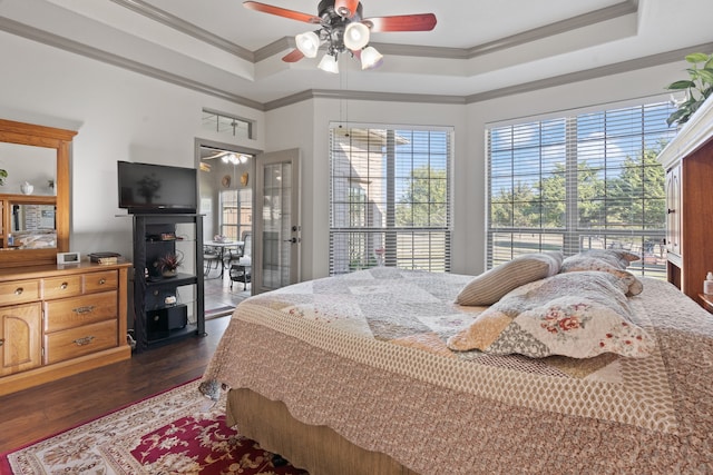 bedroom featuring ornamental molding, ceiling fan, a tray ceiling, and dark hardwood / wood-style flooring