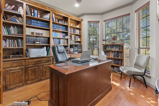 office area featuring crown molding and light hardwood / wood-style floors